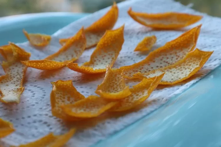 Manfaat Kulit Jeruk Orange Peel