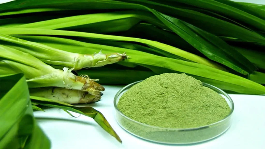 Manfaat Daun Pandan terbaru