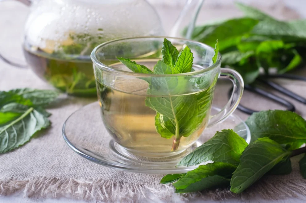 Mentha Piperita Folium teh