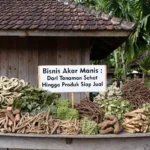 Bisnis Akar Manis: Dari Tanaman Sehat Hingga Produk Siap Jual